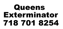 Queens Exterminators Bed Bugs BedBugs Ants Roaches Rats Mice Rodents Roaches Cockroaches Termites
